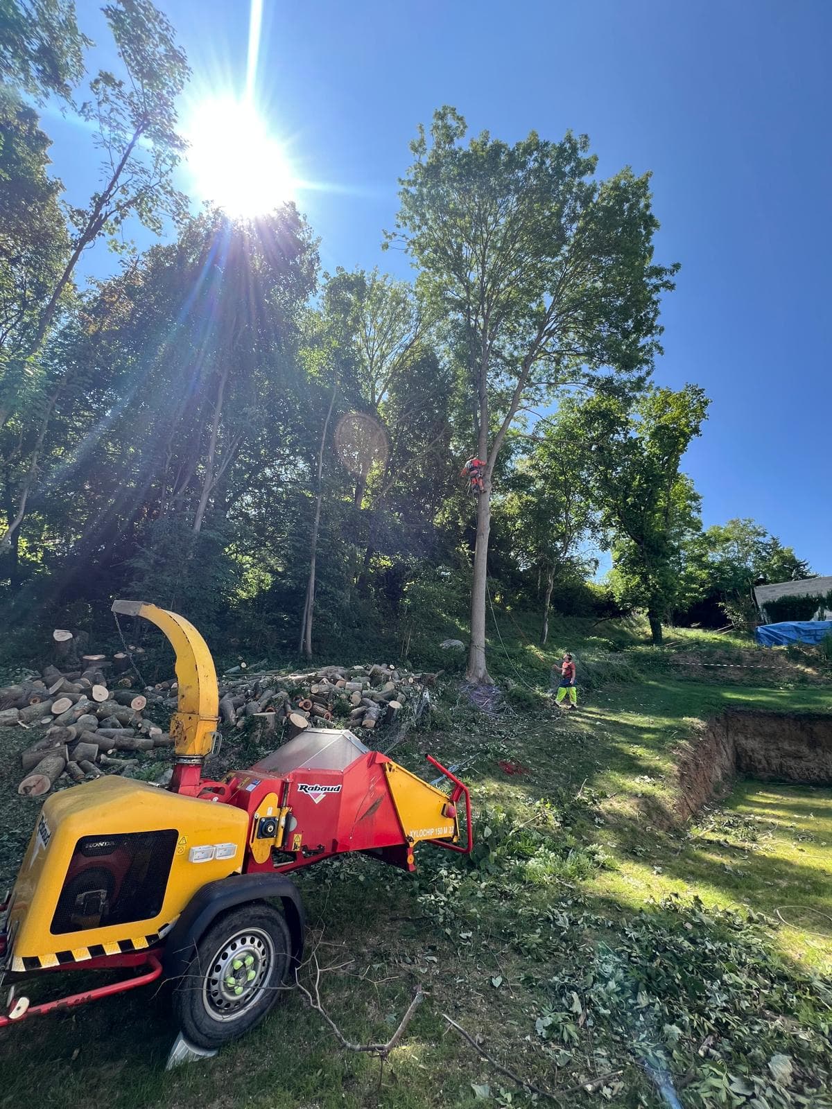 Aménagement paysager