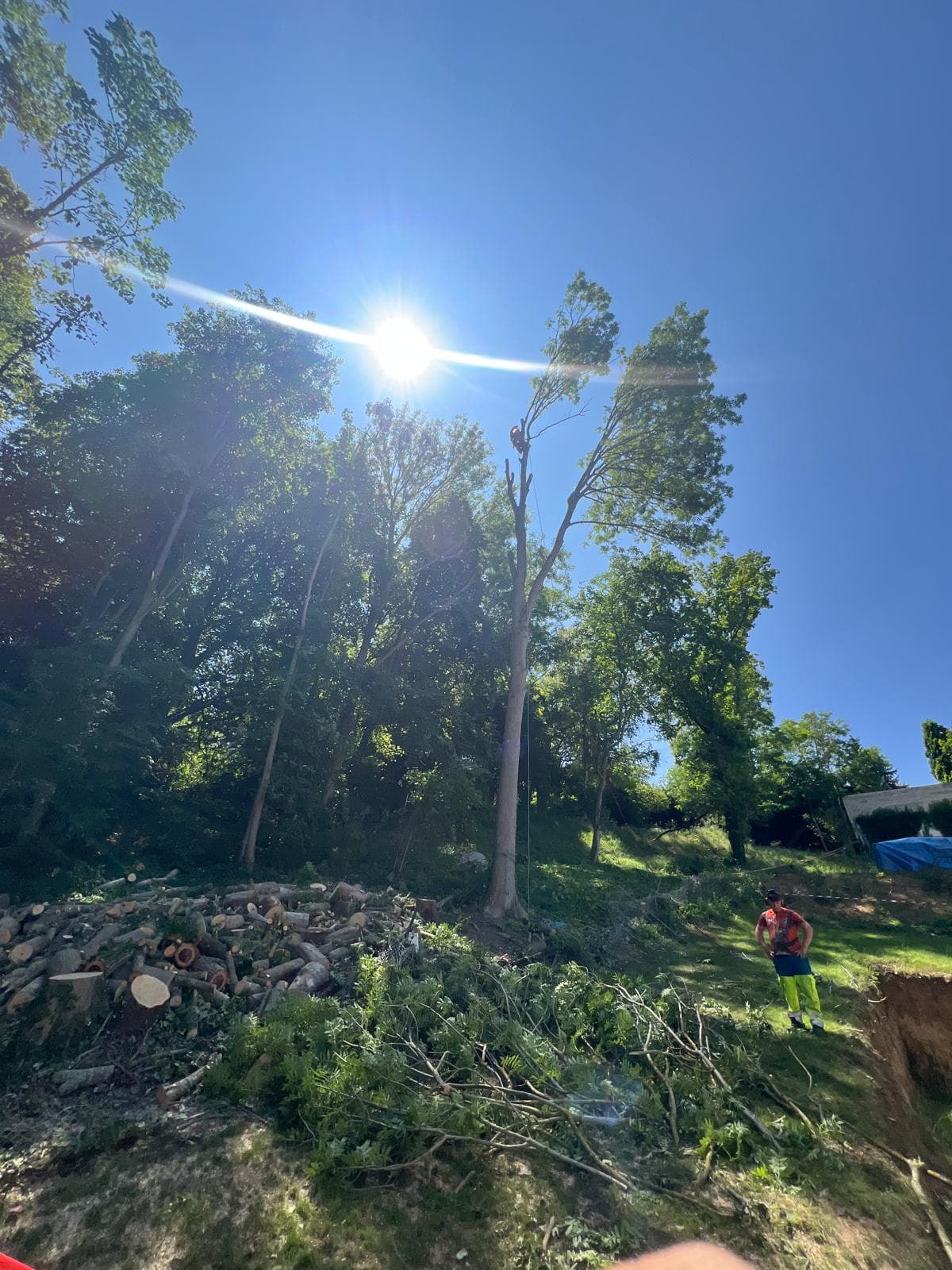 Entretien espaces verts